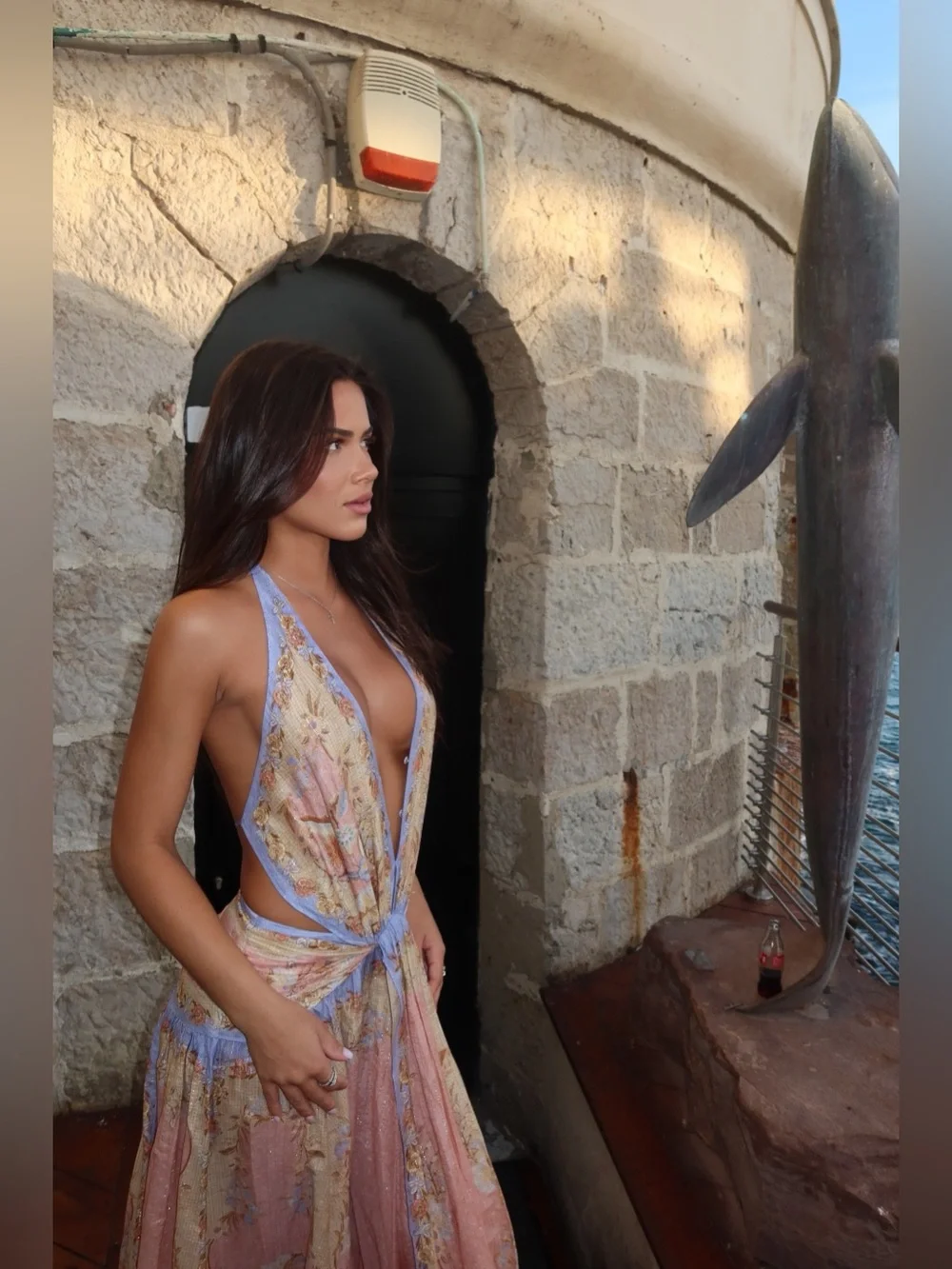 Zimmerman Dress - Picture 3 of 5